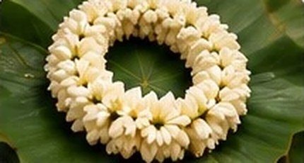 Jasmine Garland